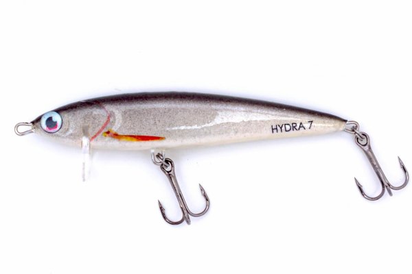 Kraken 19 at