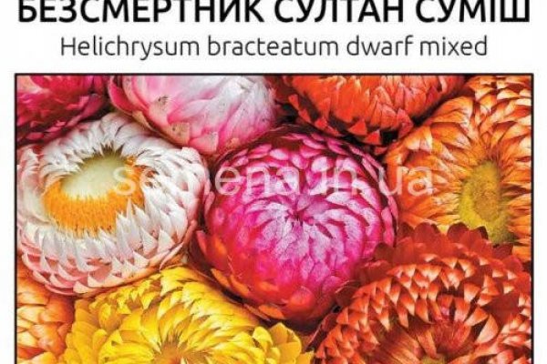 Kraken onion ссылка