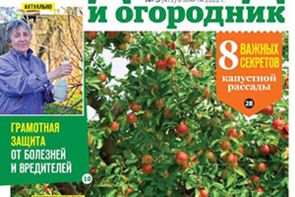 Ссылки на кракен мегу
