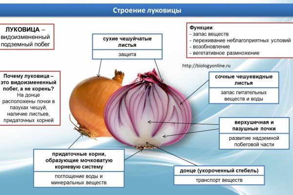 Доступ кракен